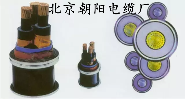 风险久久久久久亚洲精品影院-一边摸一边做爽的视频17国产-欧美精品在线一区二区-强壮公夜夜使我呻吟-豪妇荡乳3在线观看